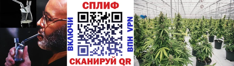 Каннабис Ganja  Полярный 